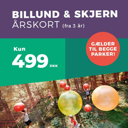 En grafik med årskort.
