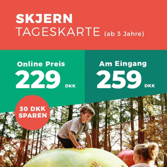 SKJERN tageskarte