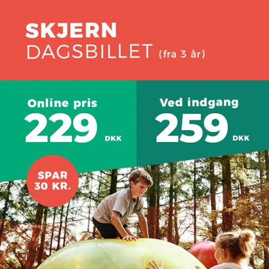 SKJERN dagsbillet
